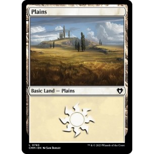 Plains