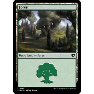 Forest