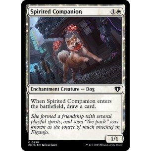 Spirited Companion