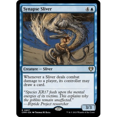 Synapse Sliver