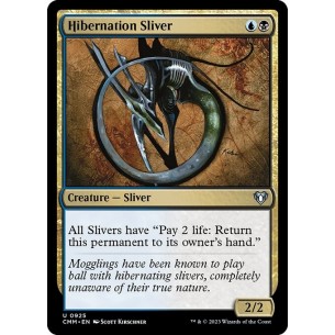 Hibernation Sliver