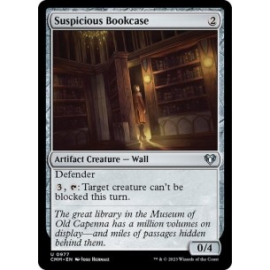 Suspicious Bookcase