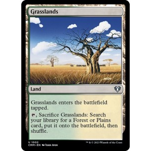 Grasslands