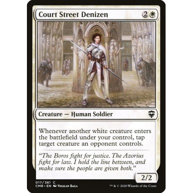 Court Street Denizen