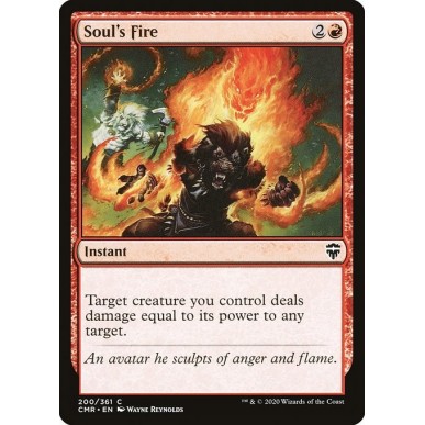 Soul's Fire