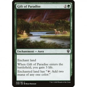 Dono del Paradiso