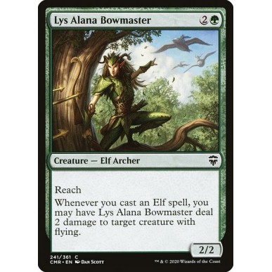 Maestro Arciere di Lys Alana