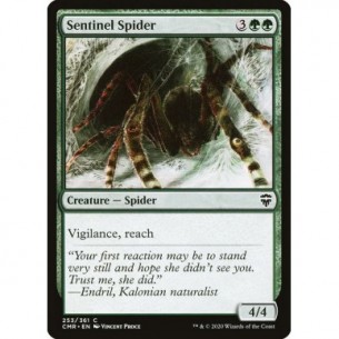 Ragno Sentinella