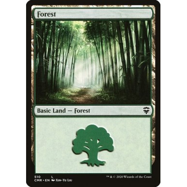 Forest