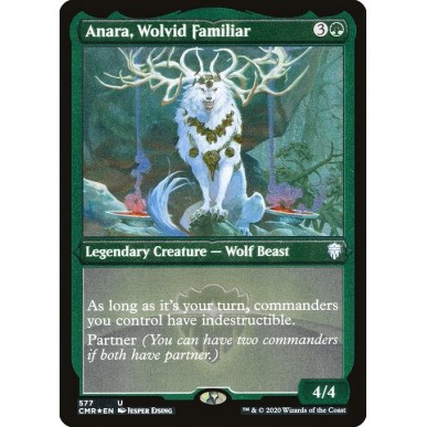 Anara, Wolvid Familiar