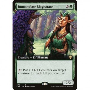 Immaculate Magistrate