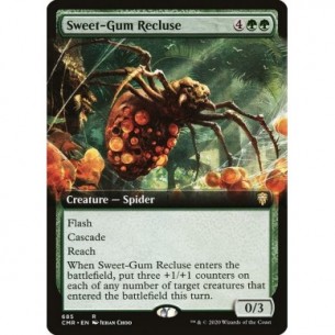 Sweet-Gum Recluse