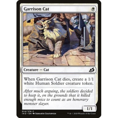 Garrison Cat