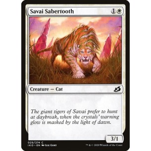 Denti a Sciabola di Savai