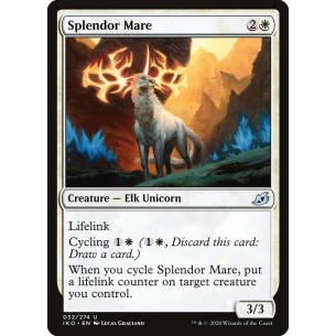 Destriero Splendente
