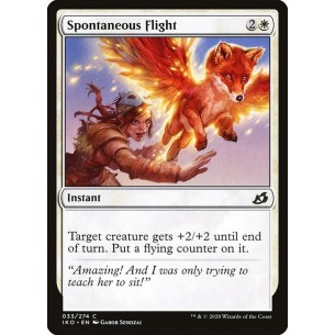 Volo Spontaneo