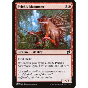 Marmosetta Pungente