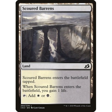 Scoured Barrens