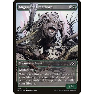 Migratory Greathorn