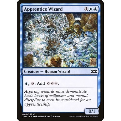 Apprentice Wizard