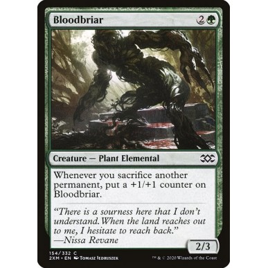 Bloodbriar