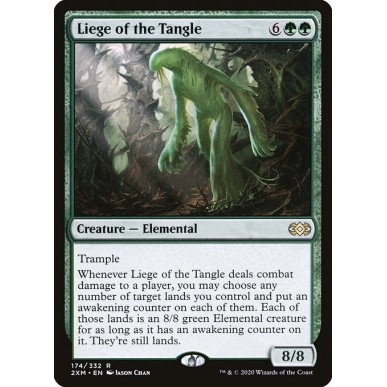 Liege of the Tangle