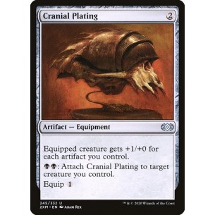 Cranial Plating
