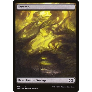 Swamp