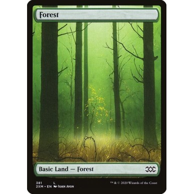 Forest