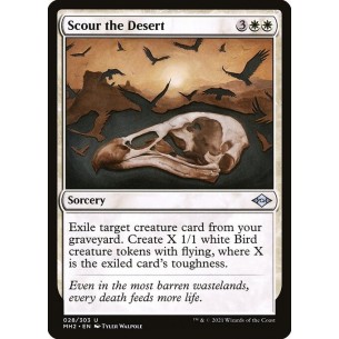 Scour the Desert