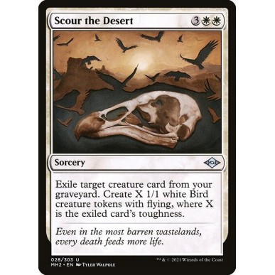 Scour the Desert