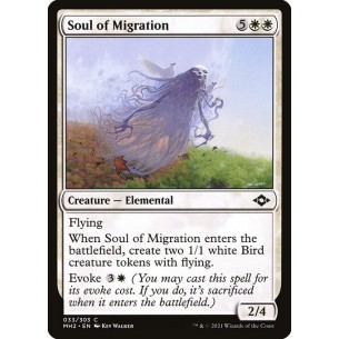 Anima della Migrazione