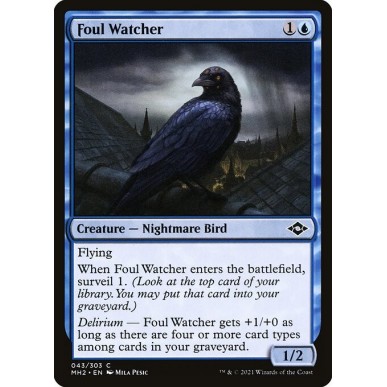 Foul Watcher