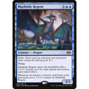 Reggente delle Acque Torbide