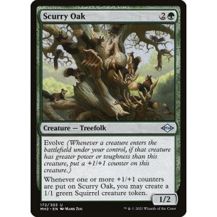 Scurry Oak