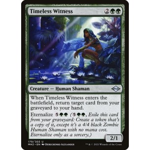 Timeless Witness