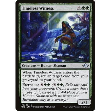 Timeless Witness