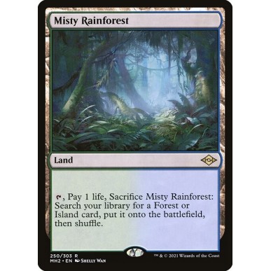 Misty Rainforest