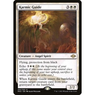 Guida del Karma