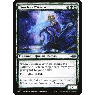 Timeless Witness