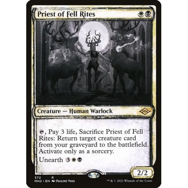 Priest of Fell Rites