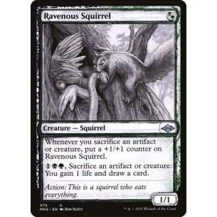 Ravenous Squirrel