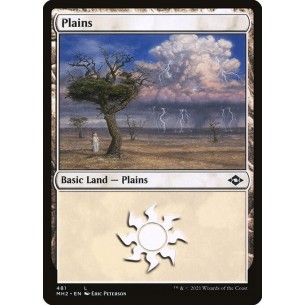 Plains