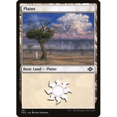 Plains