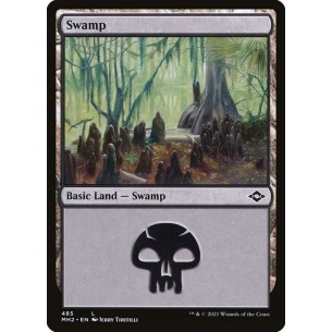 Swamp