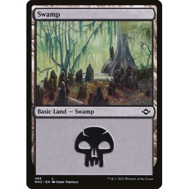 Swamp