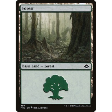Forest