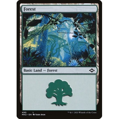 Forest