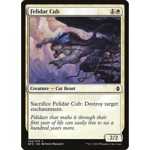 Cucciolo di Felidar