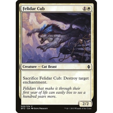 Cucciolo di Felidar
